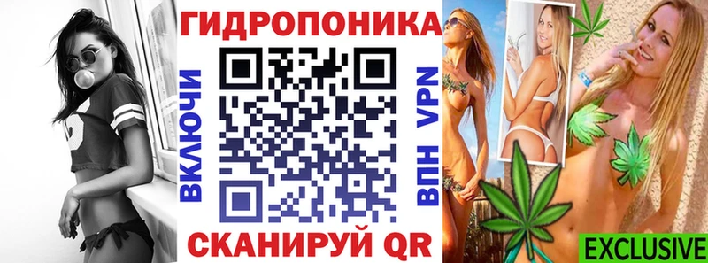 Канабис семена Абаза